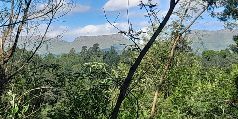 0 Bedroom Property for Sale in Hogsback Eastern Cape